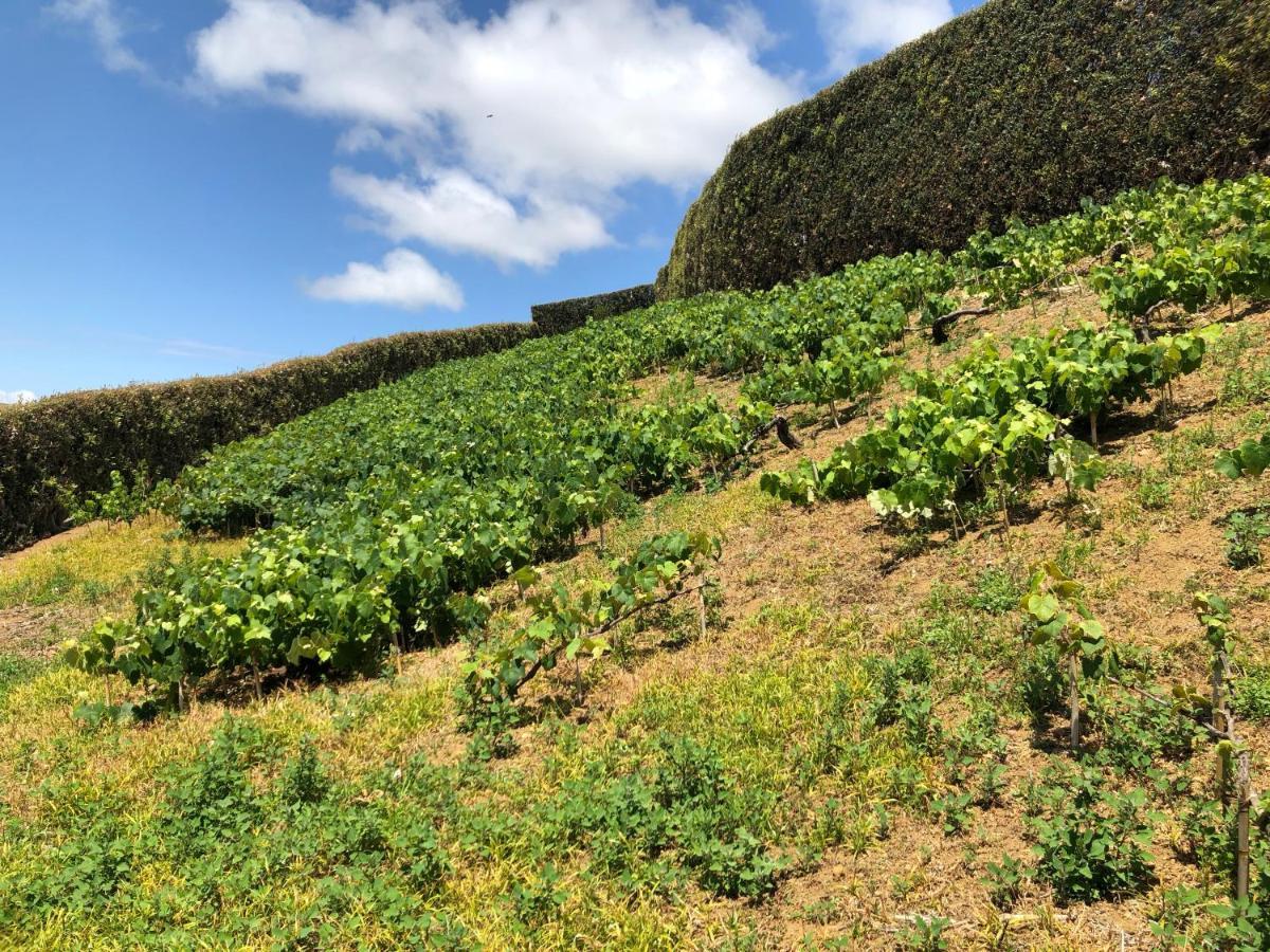 Quinta Do Pico Villa Ponta Delgada Eksteriør billede